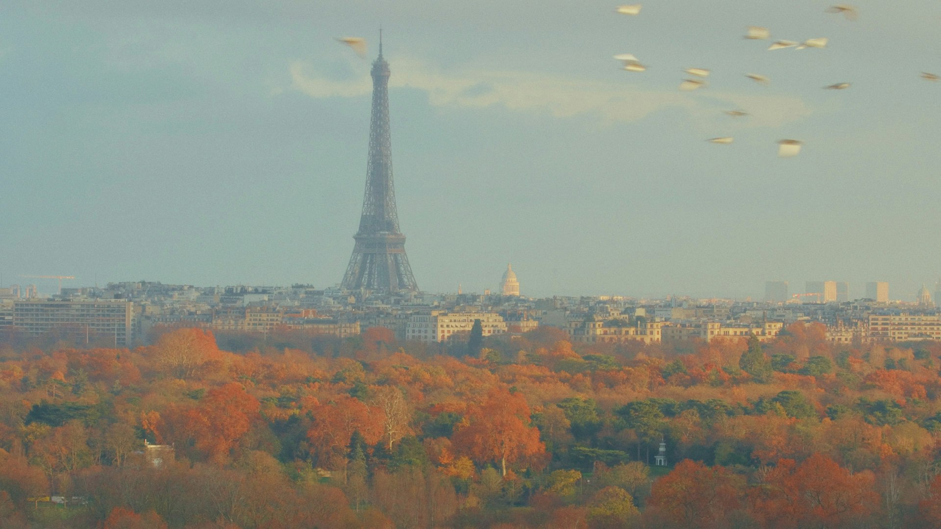 Paris on a budget - Lonely Planet