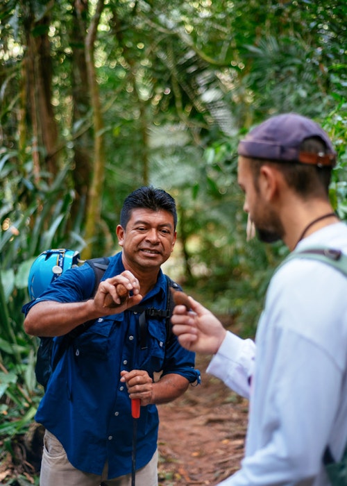 Local expert with a traveler in a forest