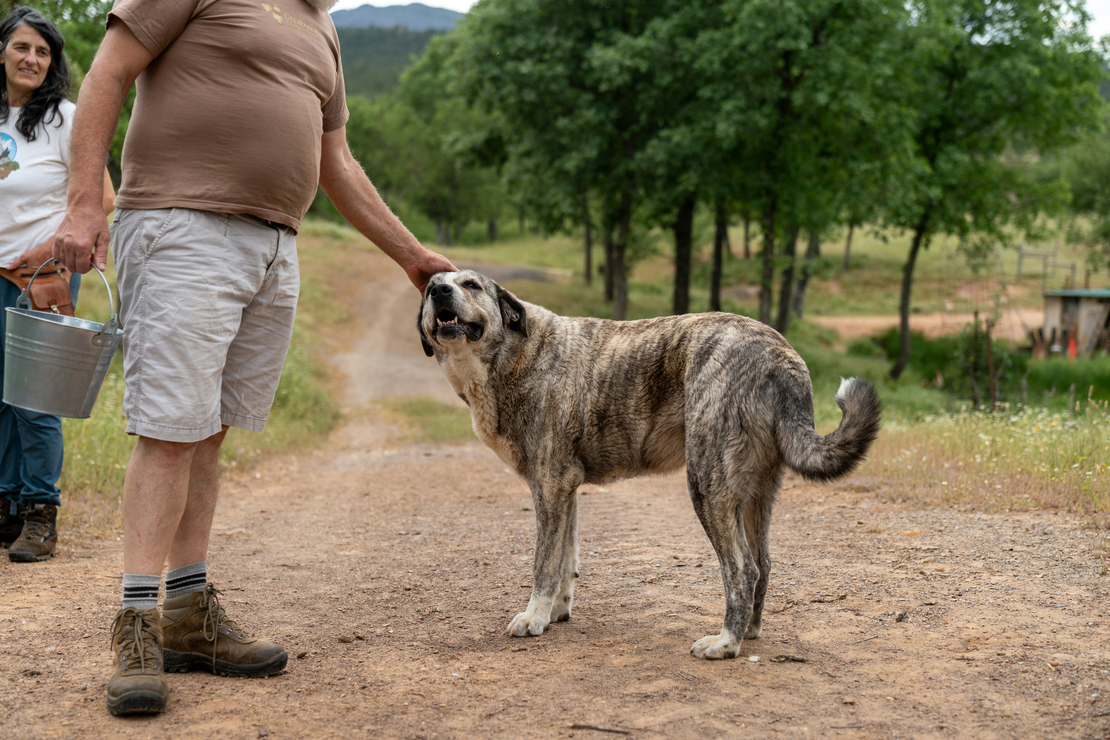 Here you can get hands-on with cheesemaking and taking care of the small farm's animals.