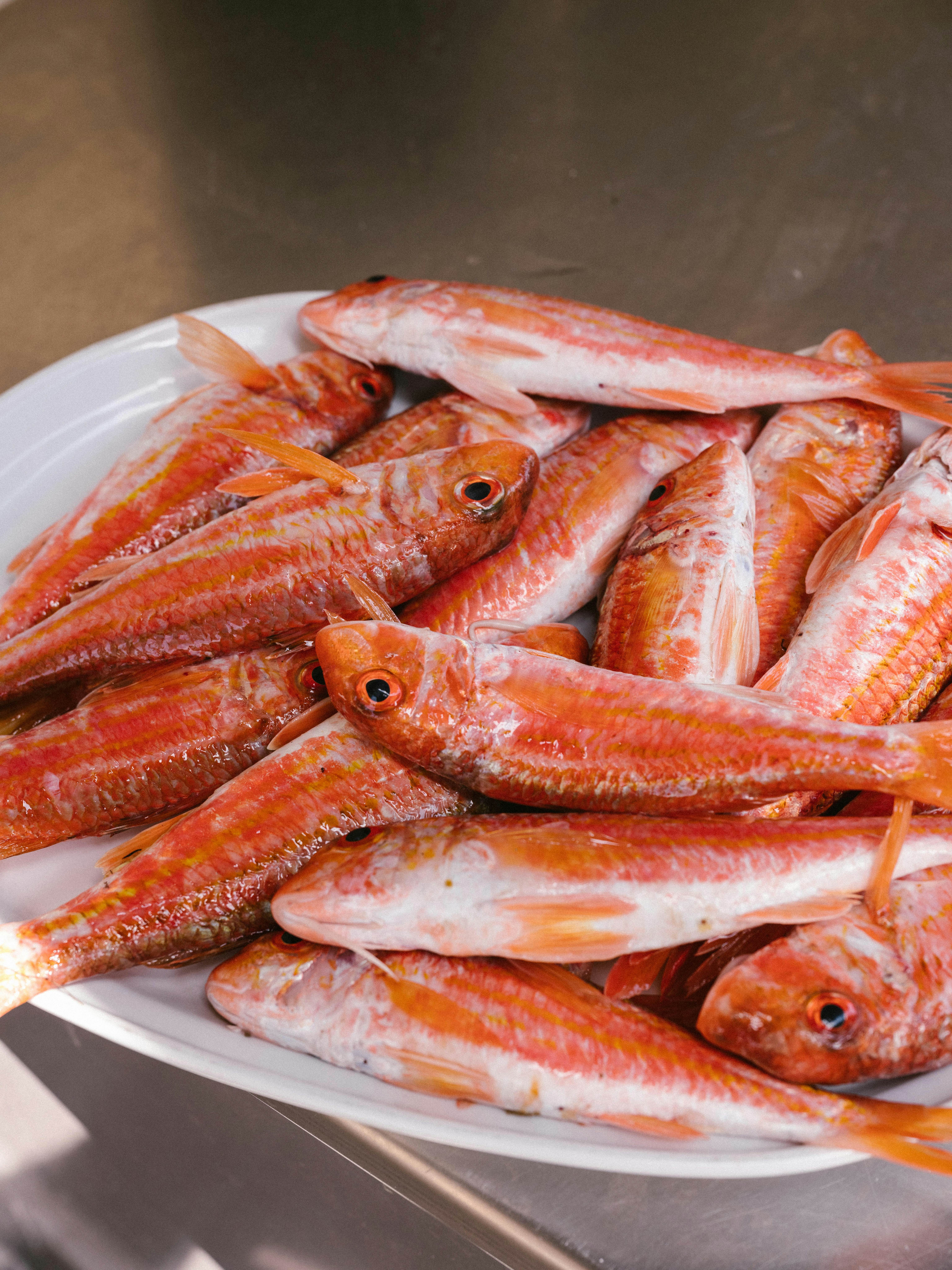The seafood menu varies based on what the fishermen bring in every day.
