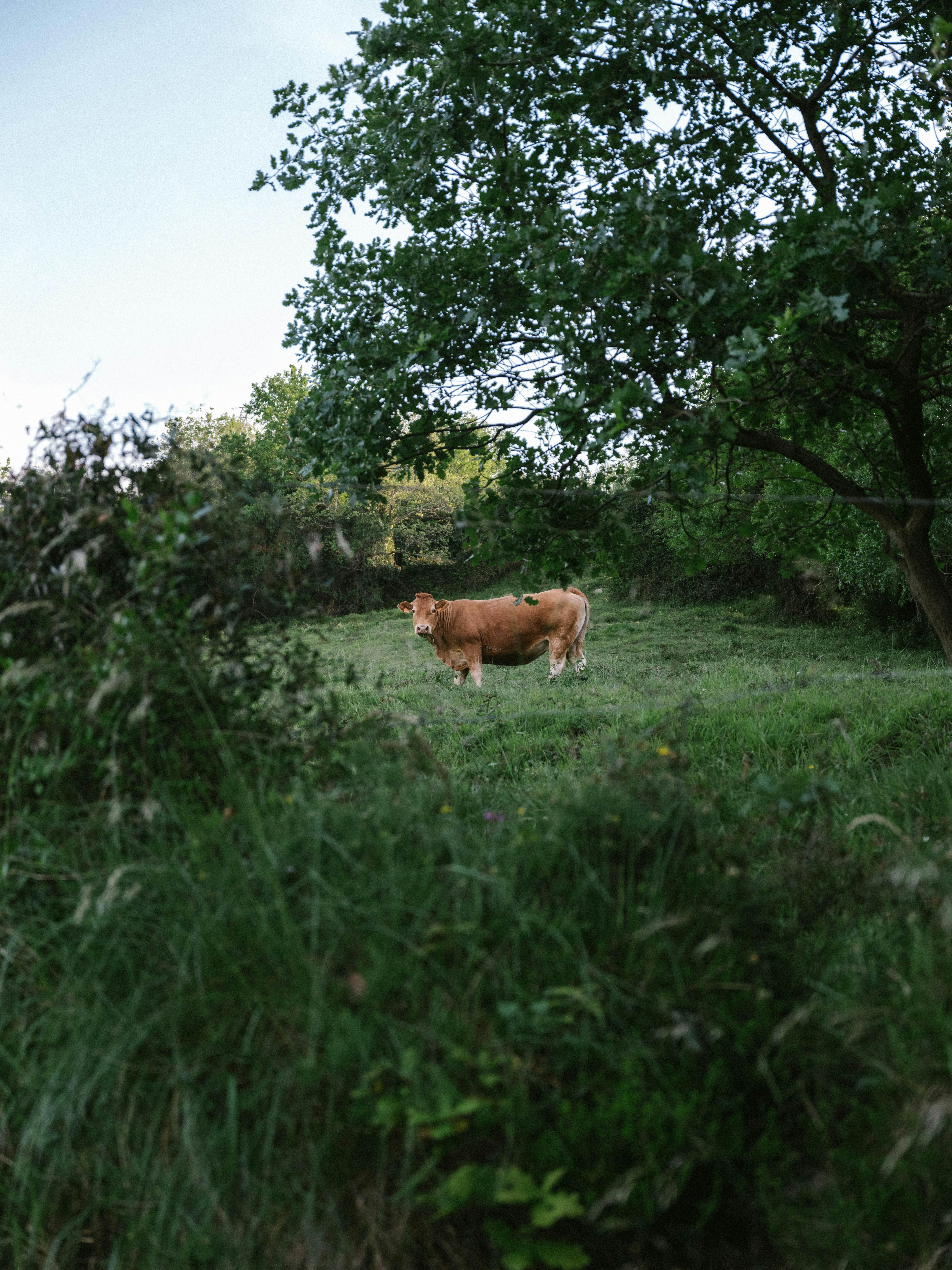 The drive is half the fun.