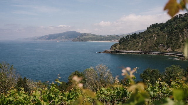 The vineyards of Txomin Etxaniz winery.