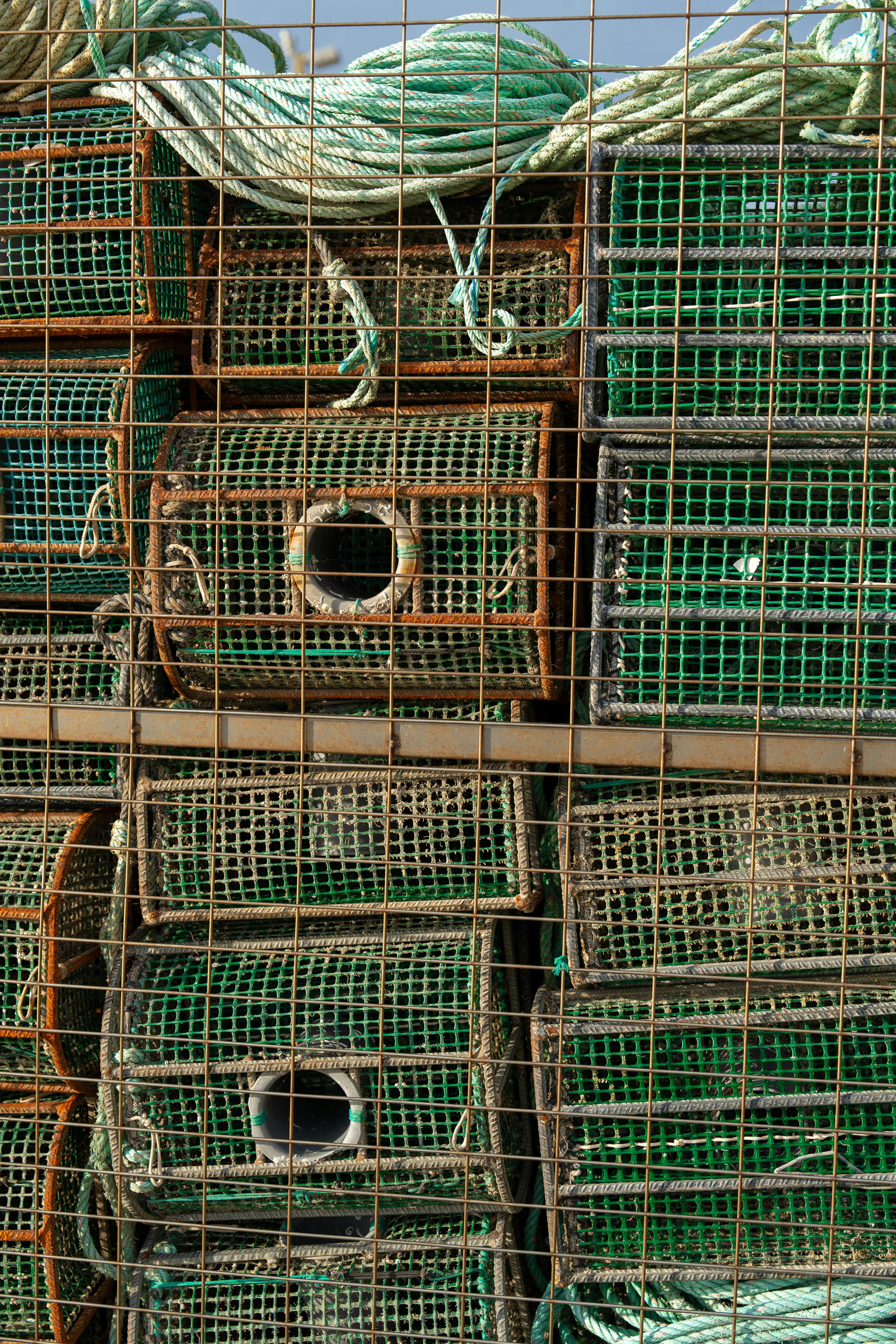 The barnacle pickers will be filling these baskets with the crustacean delicacies.