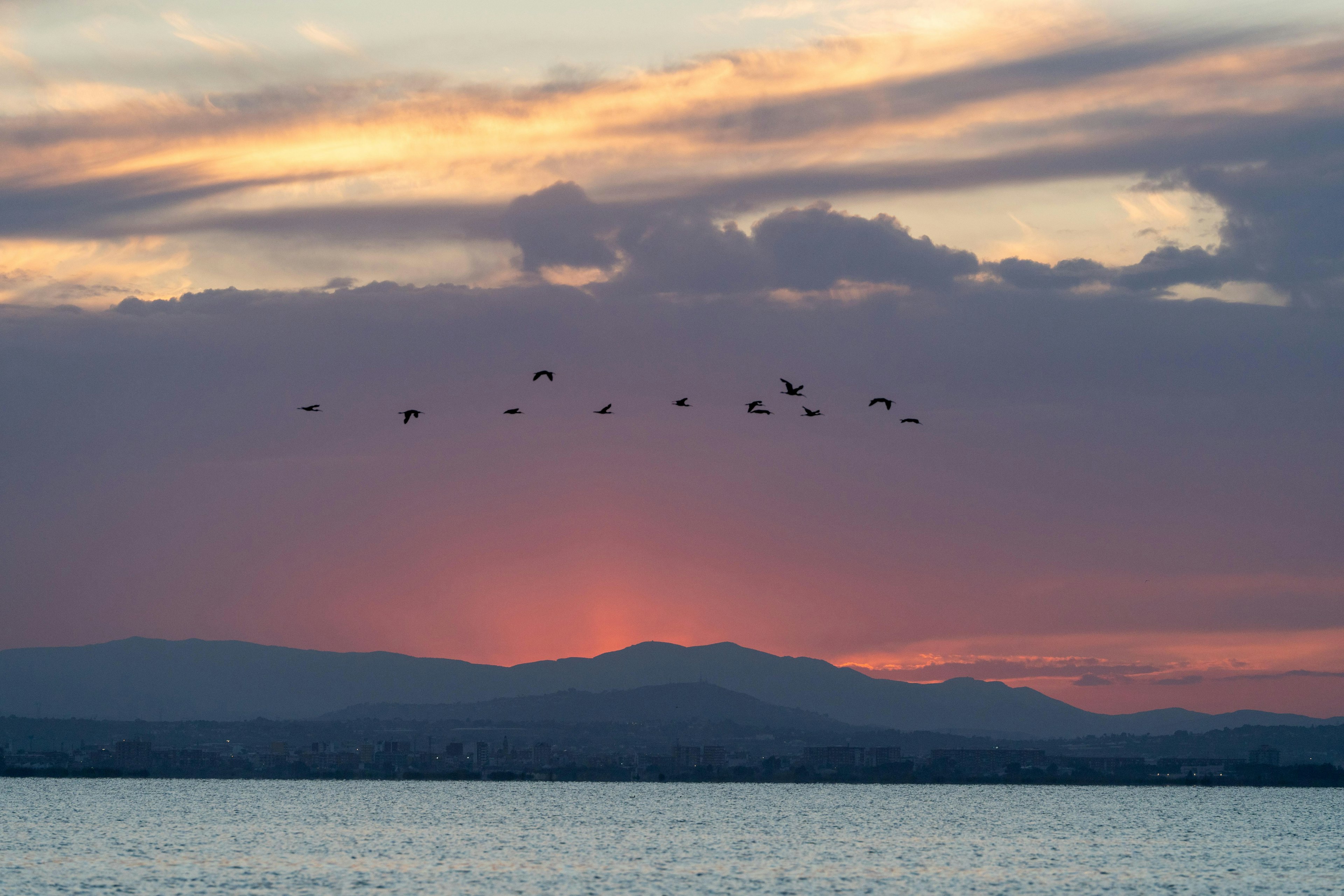 The park is a vital habitat for waterfowl and migratory birds.