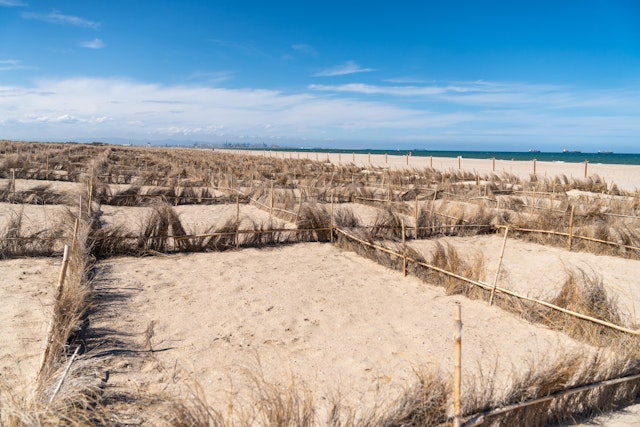 Less than 7 miles from the city is Albufera, and El Saler Beach.