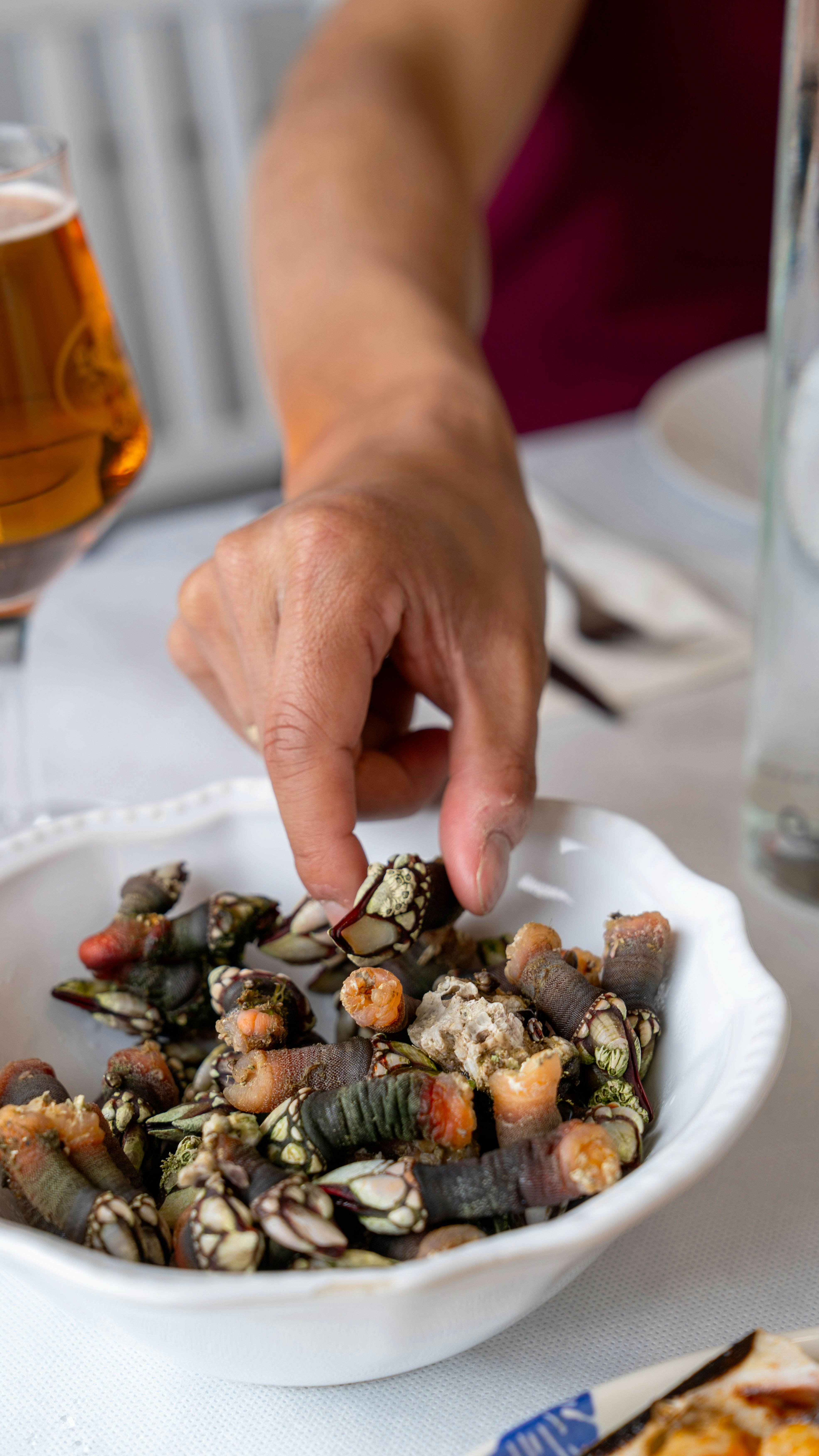 Percebeiros in Galicia.