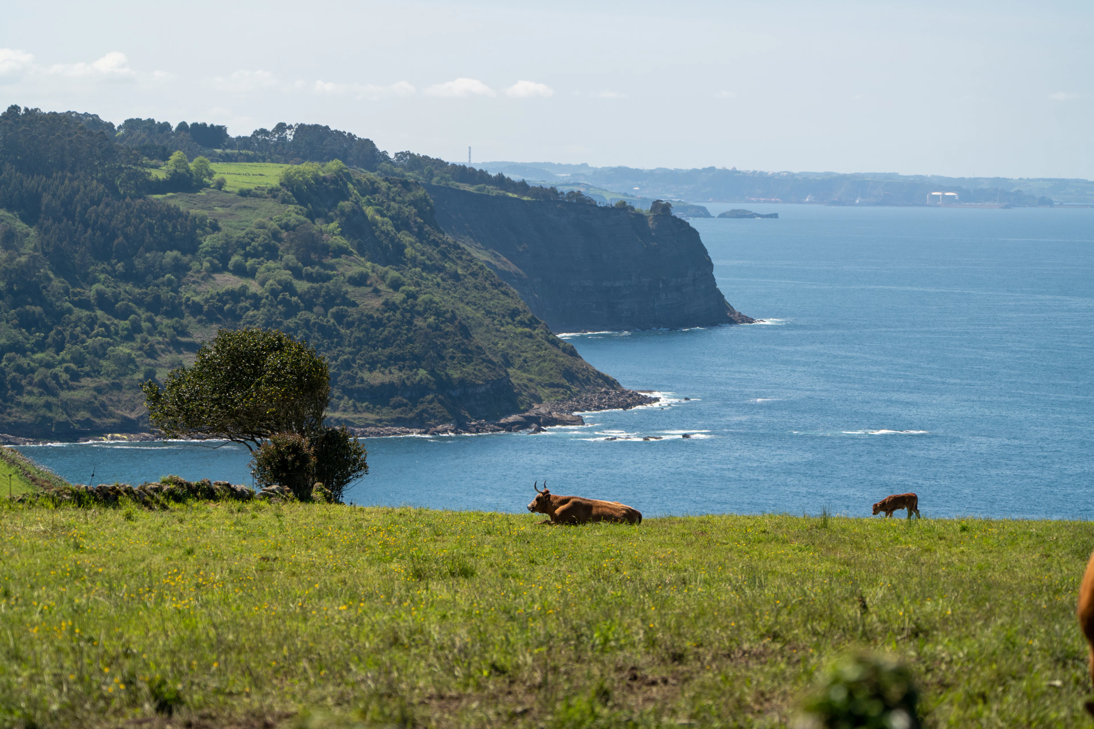 You can enjoy many of the same panoramic views on a cercanía train.