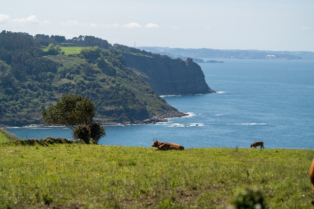 You can enjoy many of the same panoramic views on a cercanía train.
