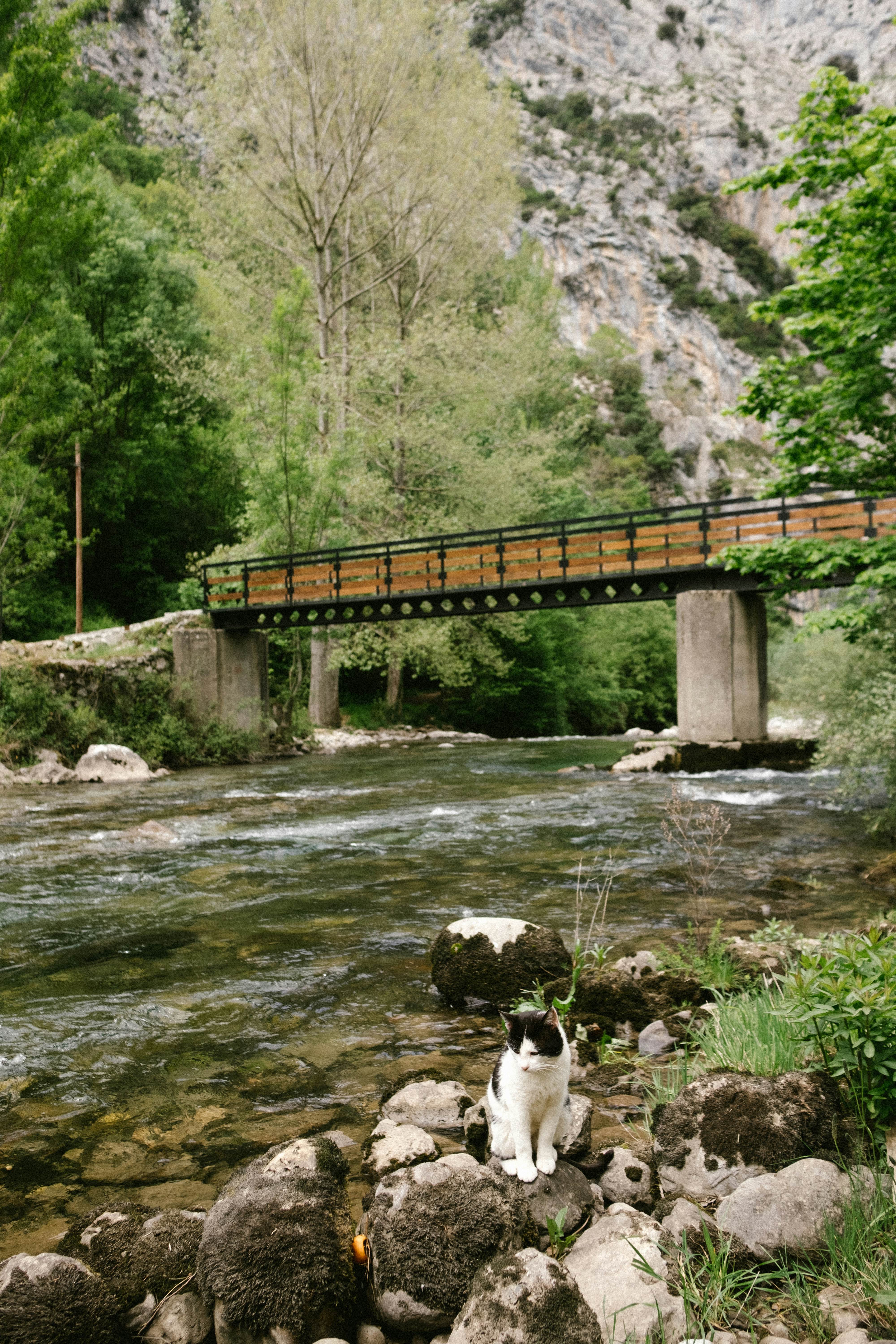 Hiking the Ruta del Cares is an unforgettable experience in the heart of the Picos de Europa.