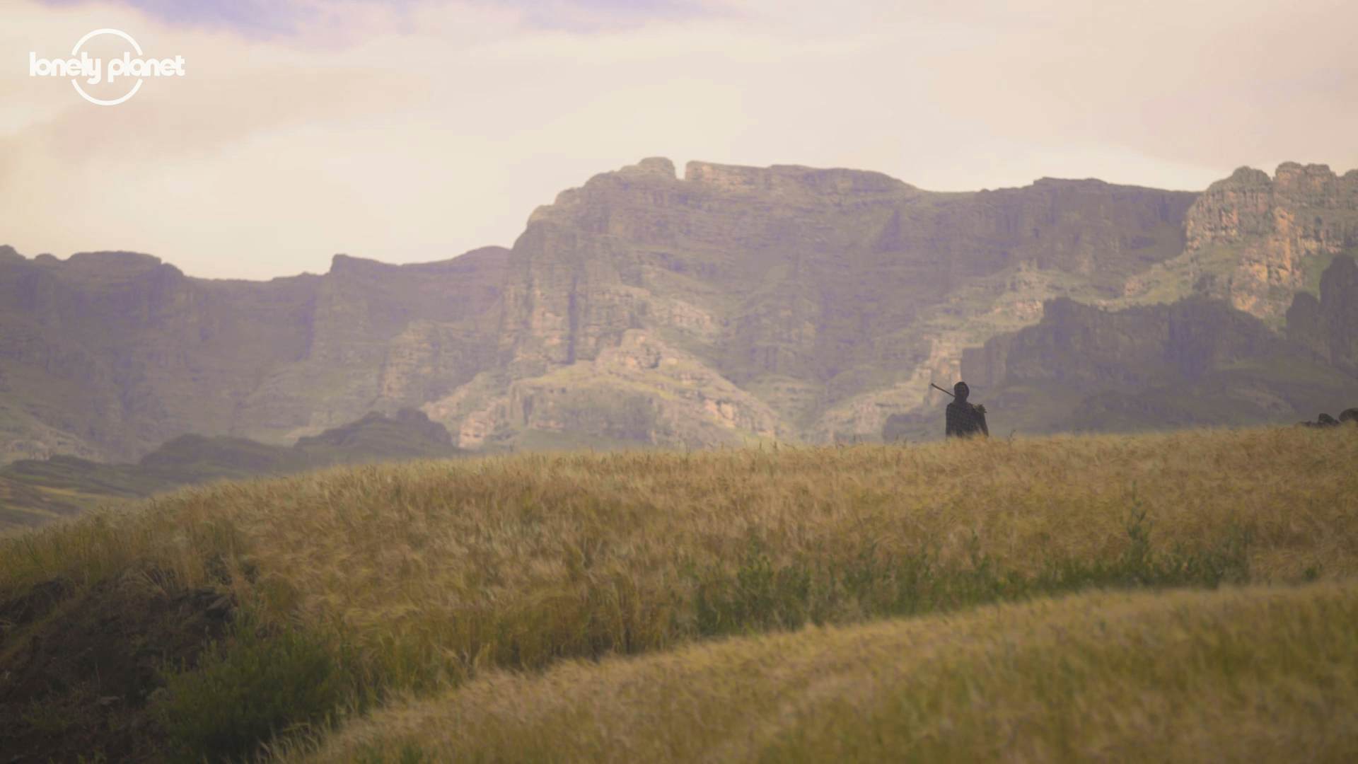 Community Trekking: Tesfa Tours 