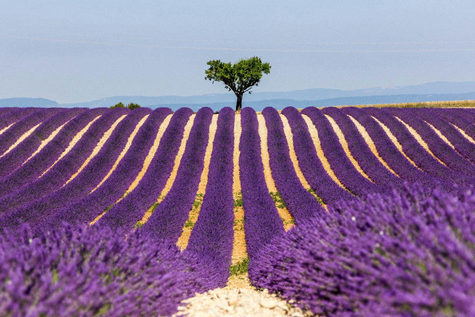 insurance france visa Lonely Provence Planet  d'Azur  Video Côte Introducing the &