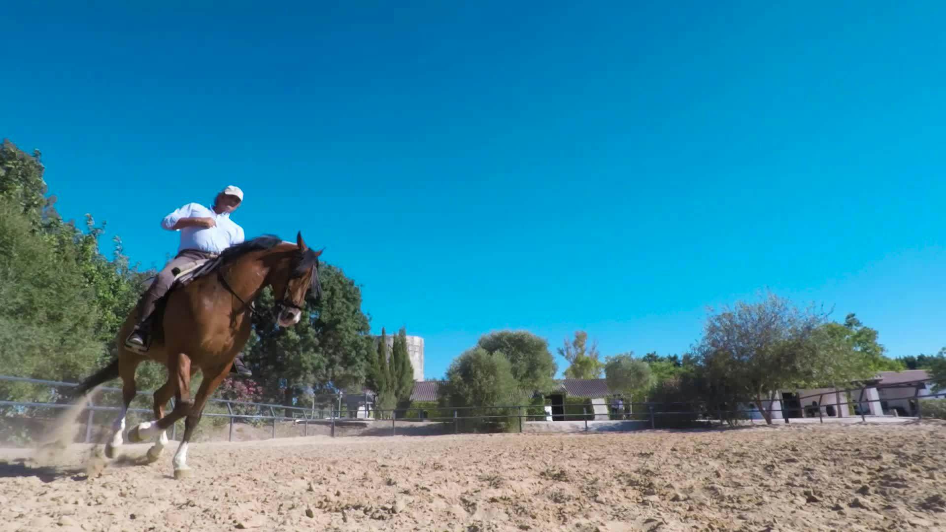 Horse Riding In Jerez A Day Trip From Seville Lonely