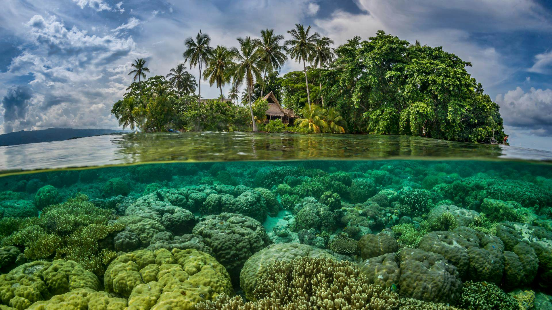 17 Best images about Solomon Islands on Pinterest 